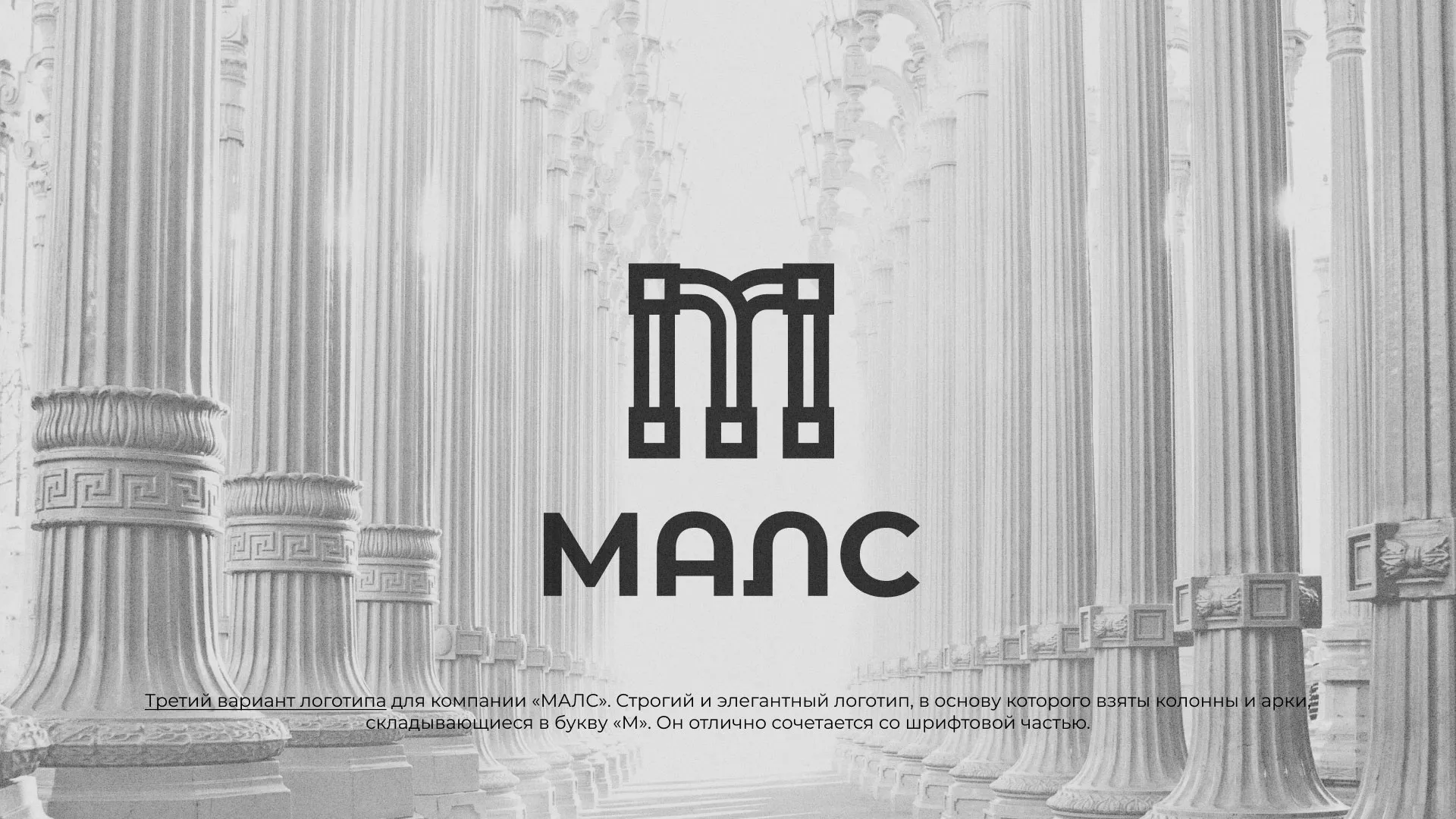 Разработка логотипа компании «МАЛС» в Благодарном