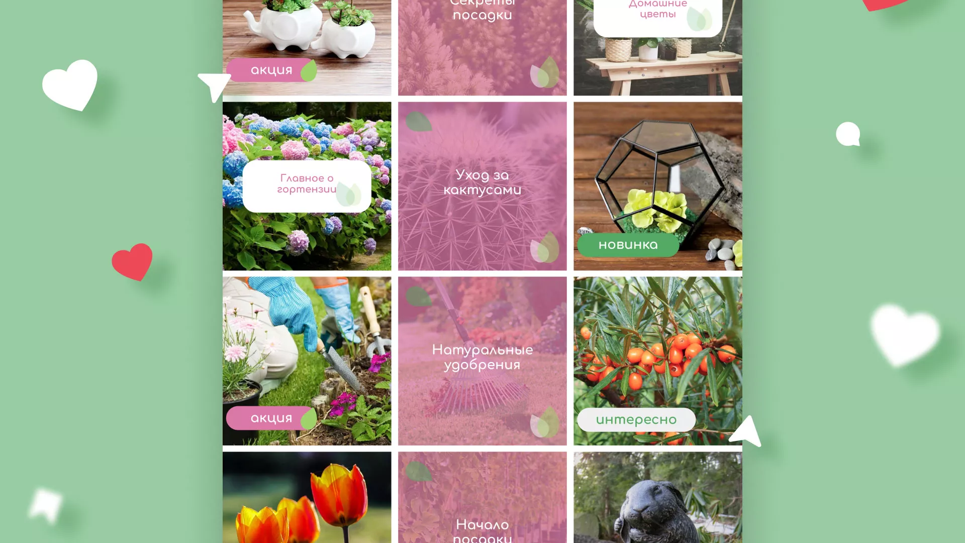 Разработка оформления профиля Instagram для магазина «Floraint» в Благодарном