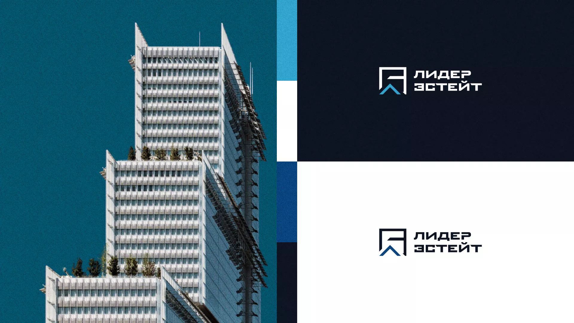 Разработка логотипа агентства недвижимости «Лидер Эстейт» в Благодарном