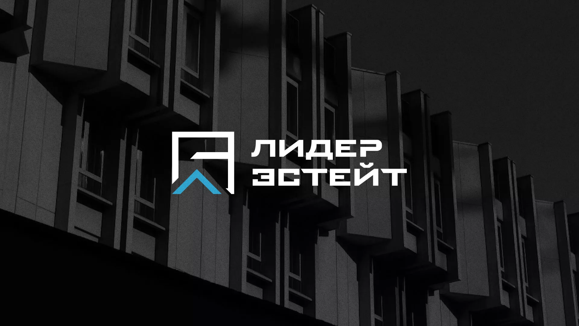 Разработка логотипа агентства недвижимости «Лидер Эстейт» в Благодарном